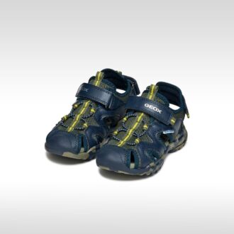 Borealis Niños