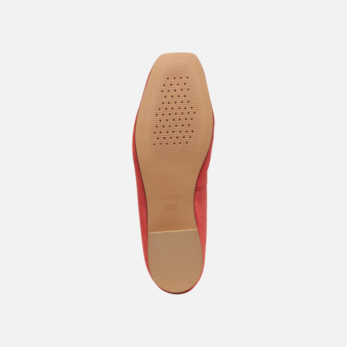 Marsilea Mujer Marsilea Mujer