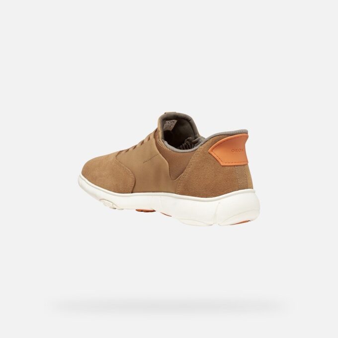 Nebula 2.0 Plus para hombre