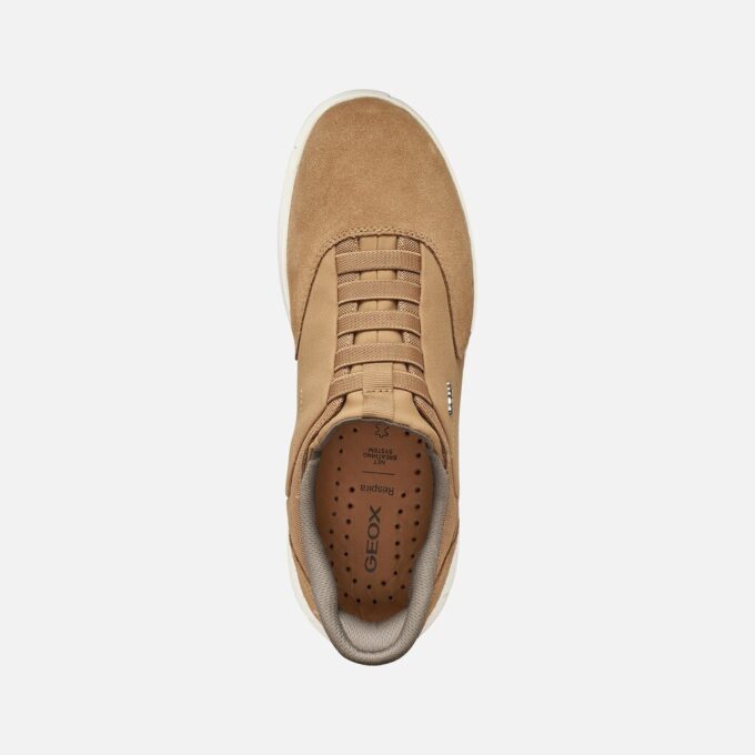 Nebula 2.0 Plus para hombre