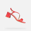 Nuevas Eraklia 50 T01 Mujer