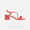 Nuevas Eraklia 50 T01 Mujer