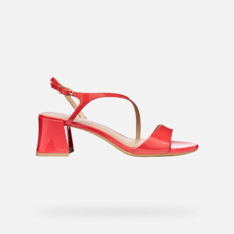 Nuevas Eraklia 50 T01 Mujer