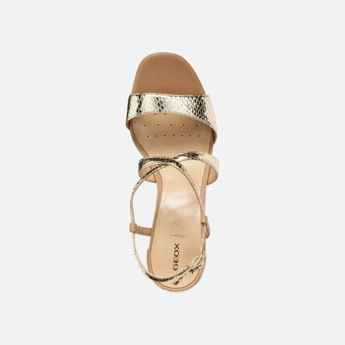 Nuevas Eraklia 80 T01 Mujer