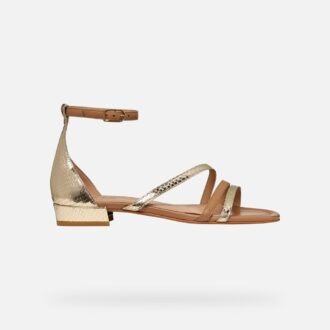 Nuevo Eraklia 15 Mujer