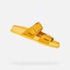 Parnaiba Man Parnaiba Man